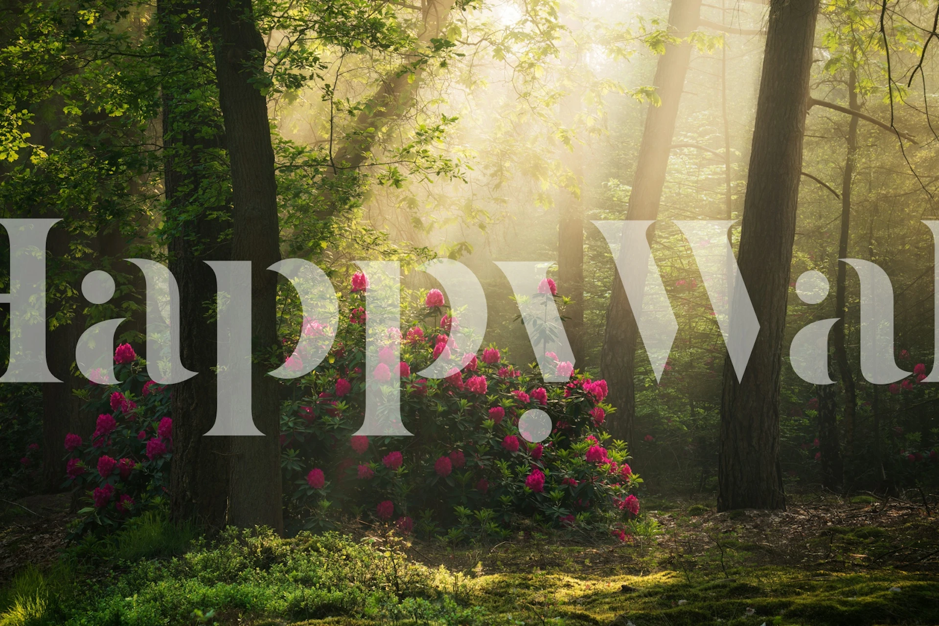 Mystical Forest Blooms Tapete in einem Raum