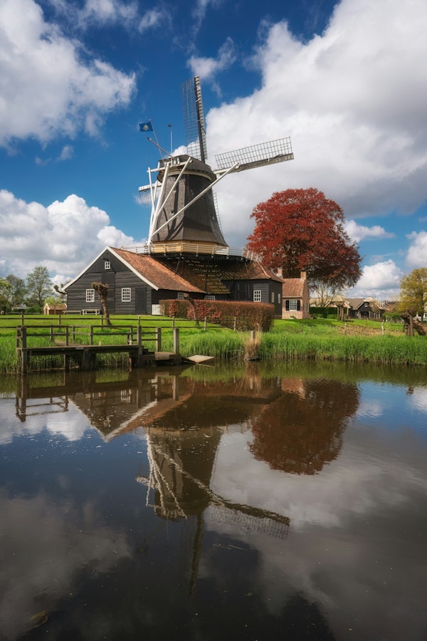Scenic Dutch Countryside View