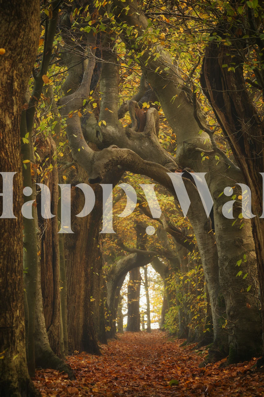 Autumn Forest Archway wallpaper in a room