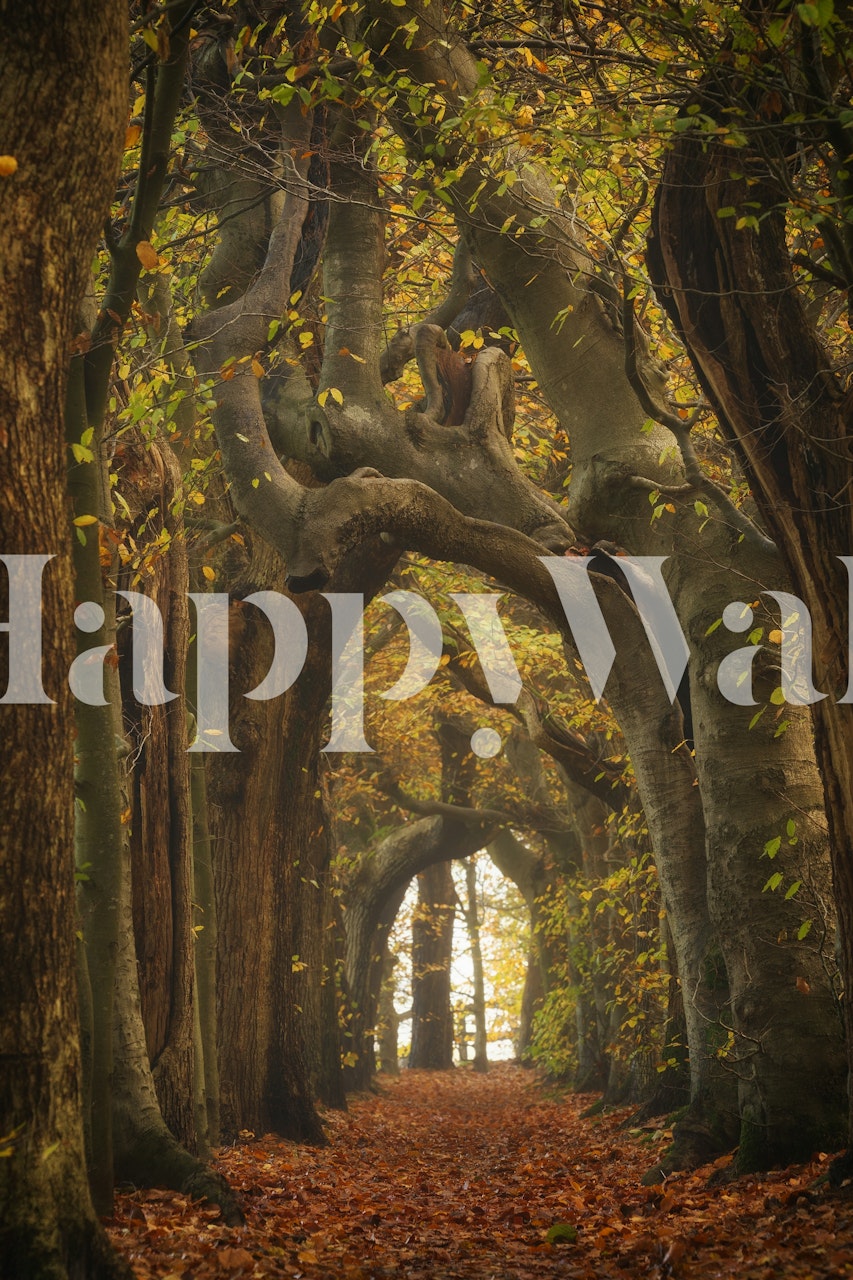 Tapeta Autumn Forest Archway w pokoju