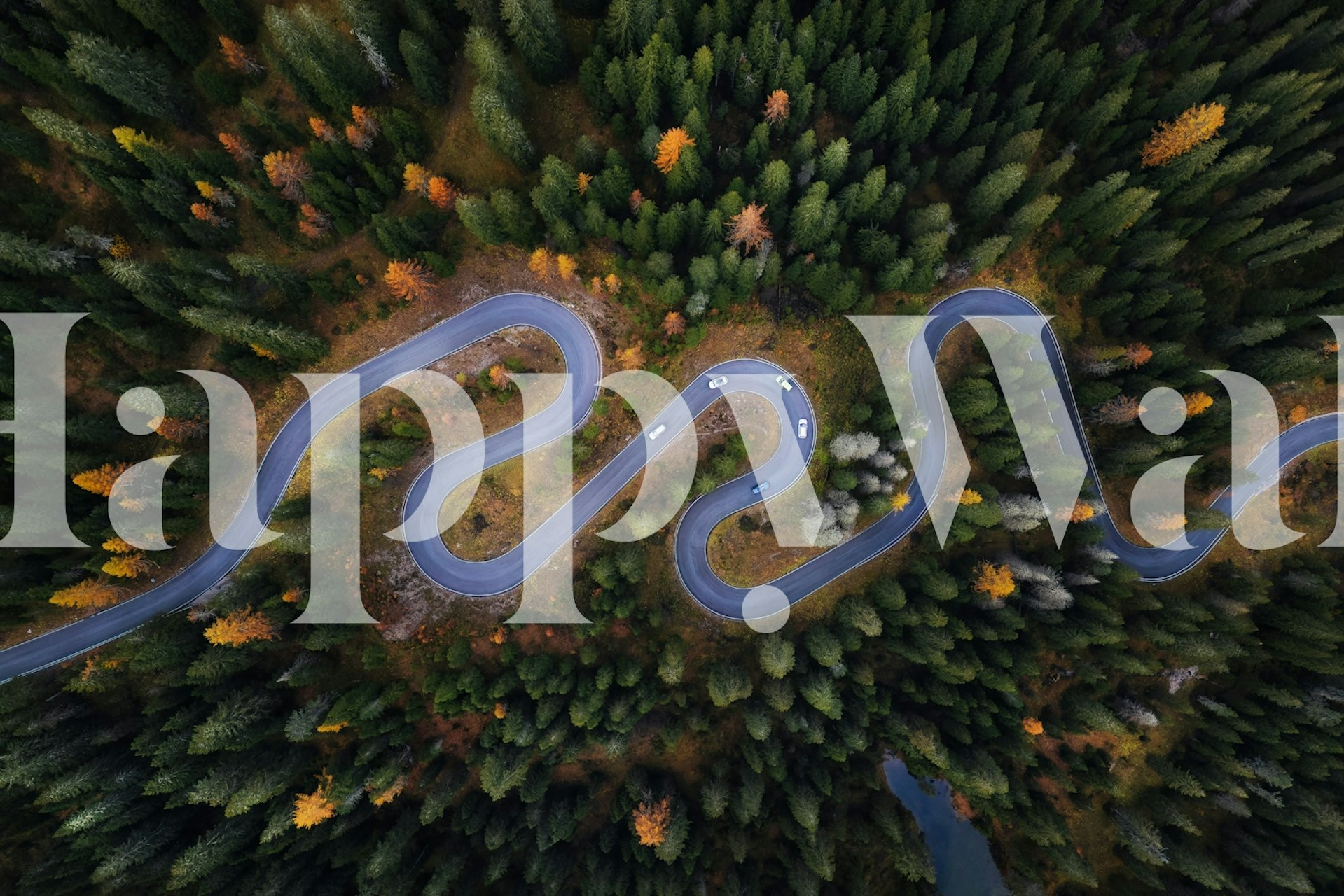 Winding road through a dense forest with autumn foliage wallpaper