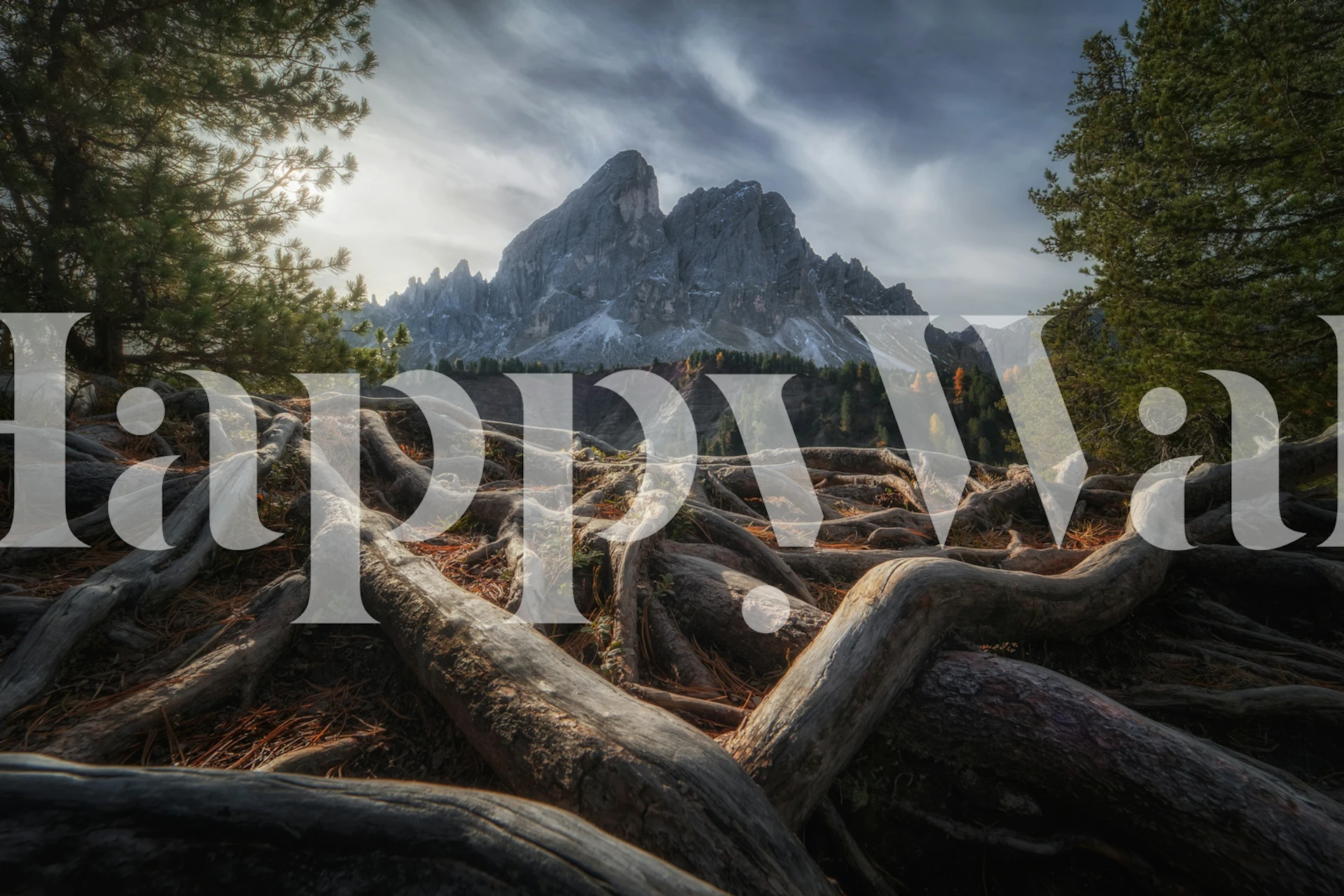 Mountain peaks with twisting tree roots at foreground wall mural