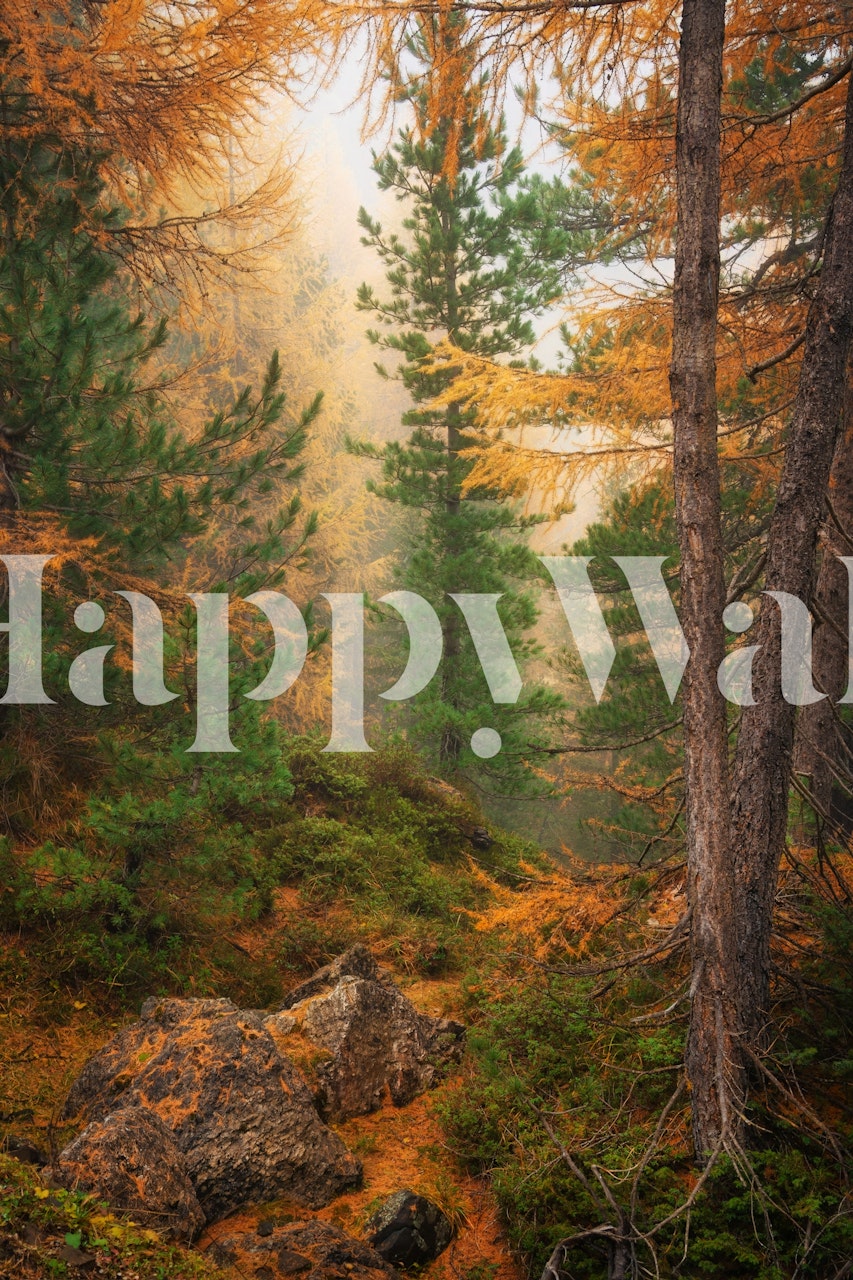 Autumn Forest Serenity wallpaper in a room