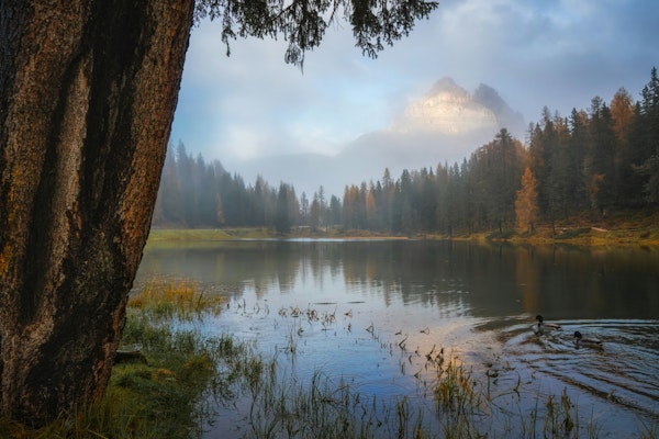 Tranquil Mountain View at Tre Cime, Italy