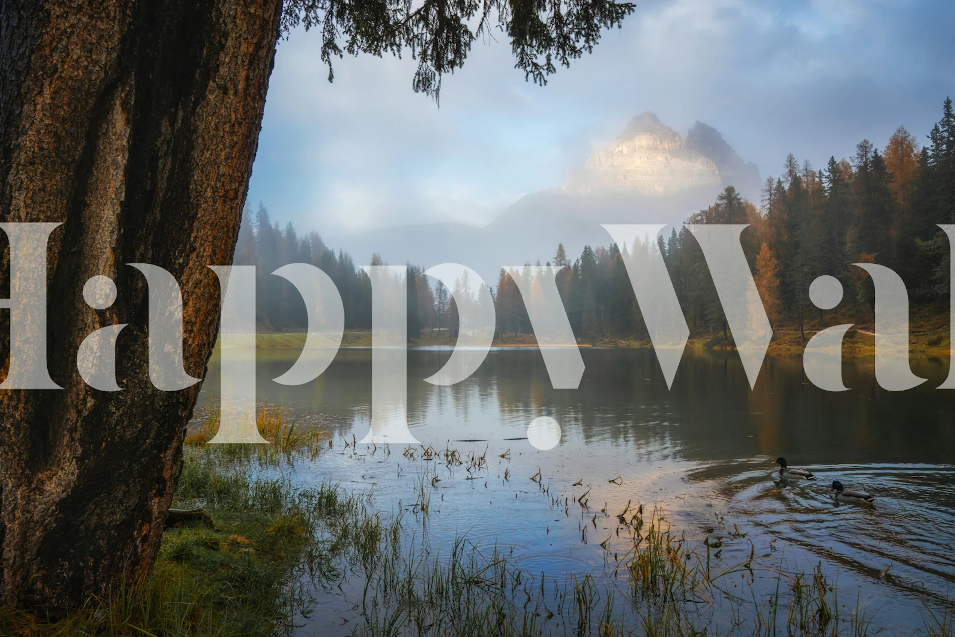 Tranquil mountain view wallpaper in einem Raum