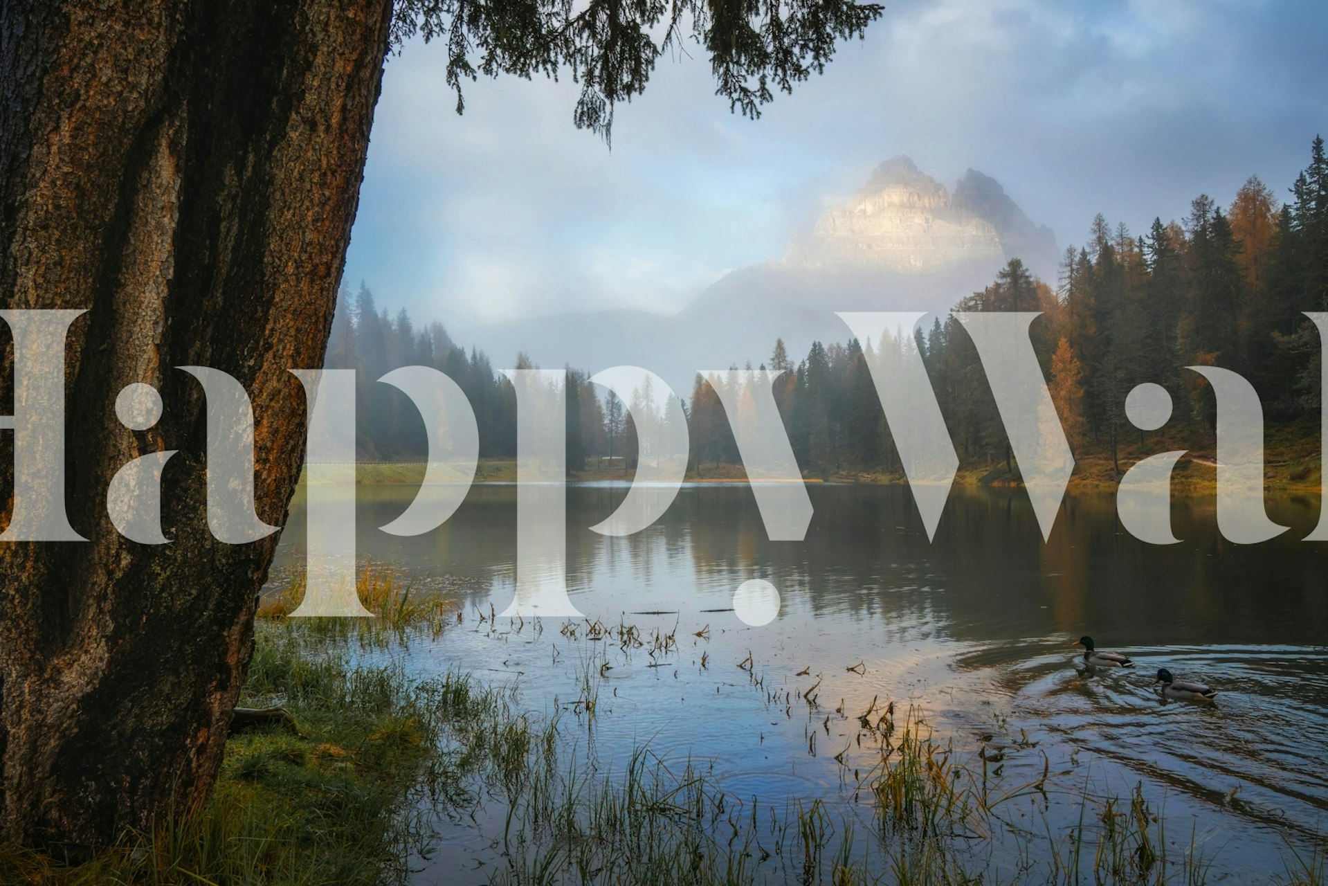 Tranquil mountain view wallpaper in een kamer