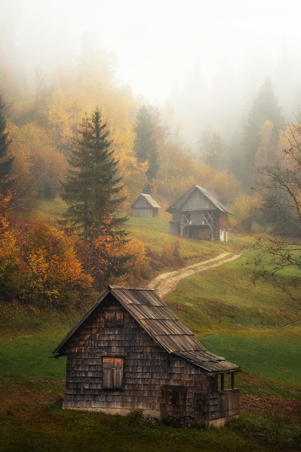 Rustic Cabin in Misty Forest in Slovenia