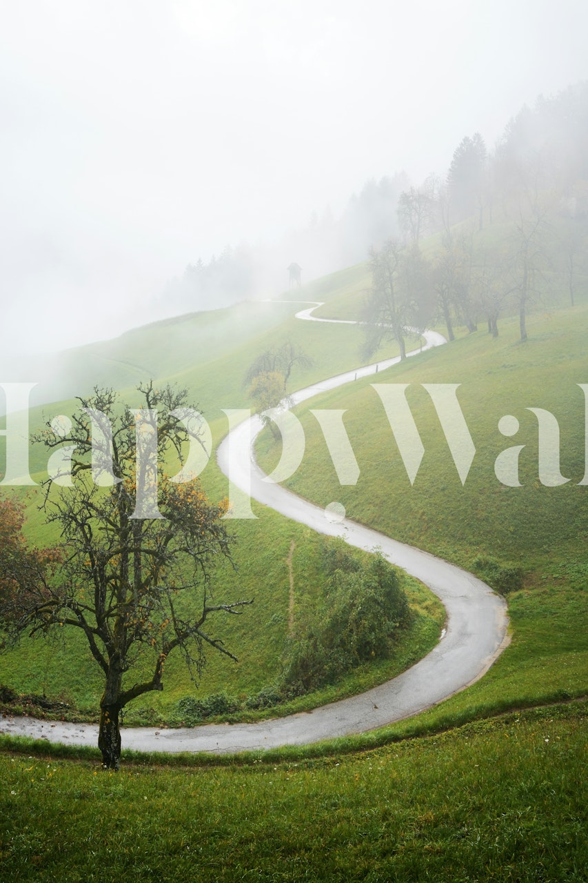 Foggy hillside wallpaper in a room