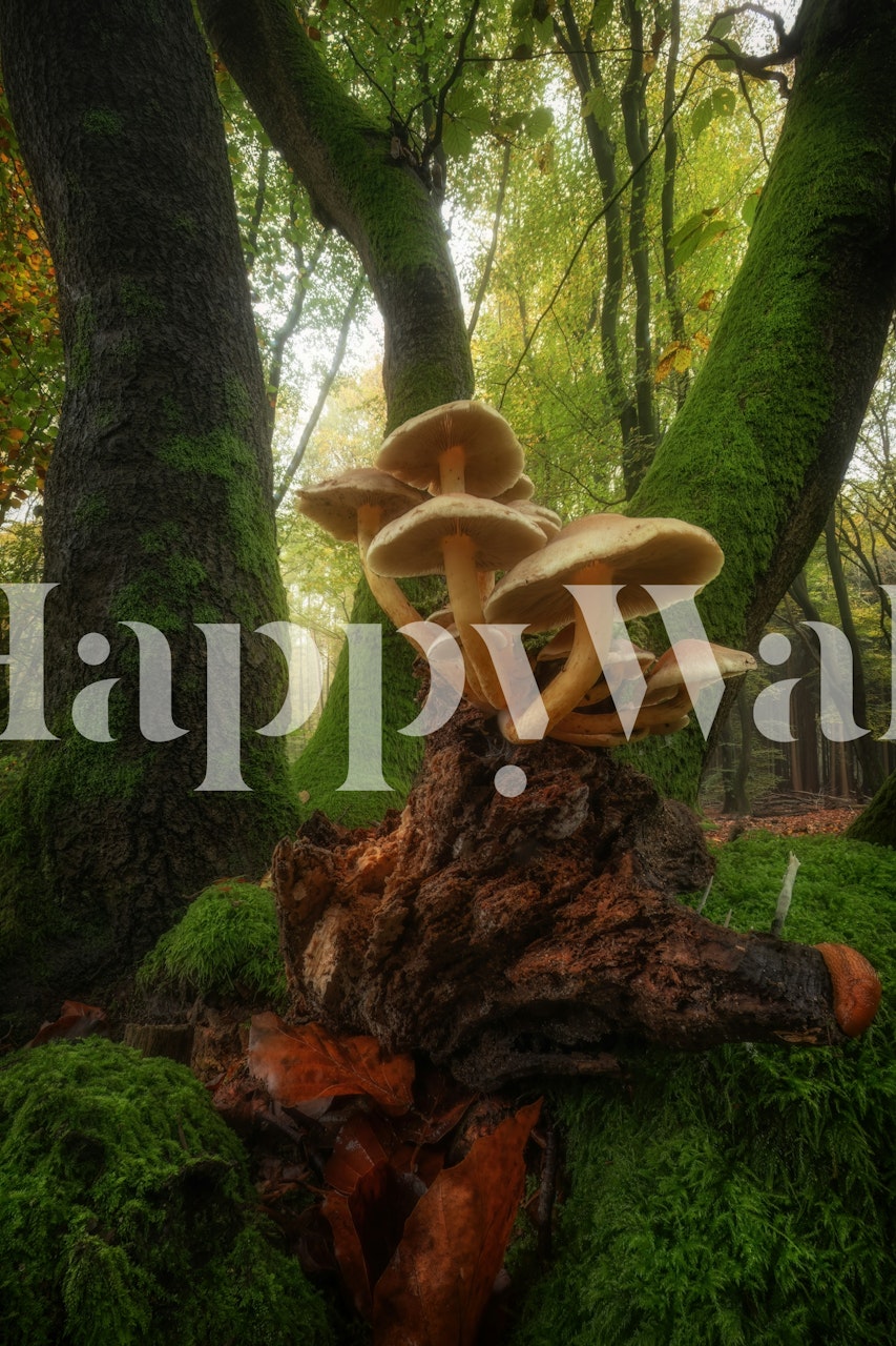 Enchanted Forest Mushrooms Tapete in einem Raum