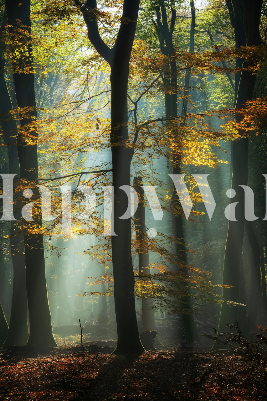 Mystical Woodland Aura Tapete in einem Innenraum