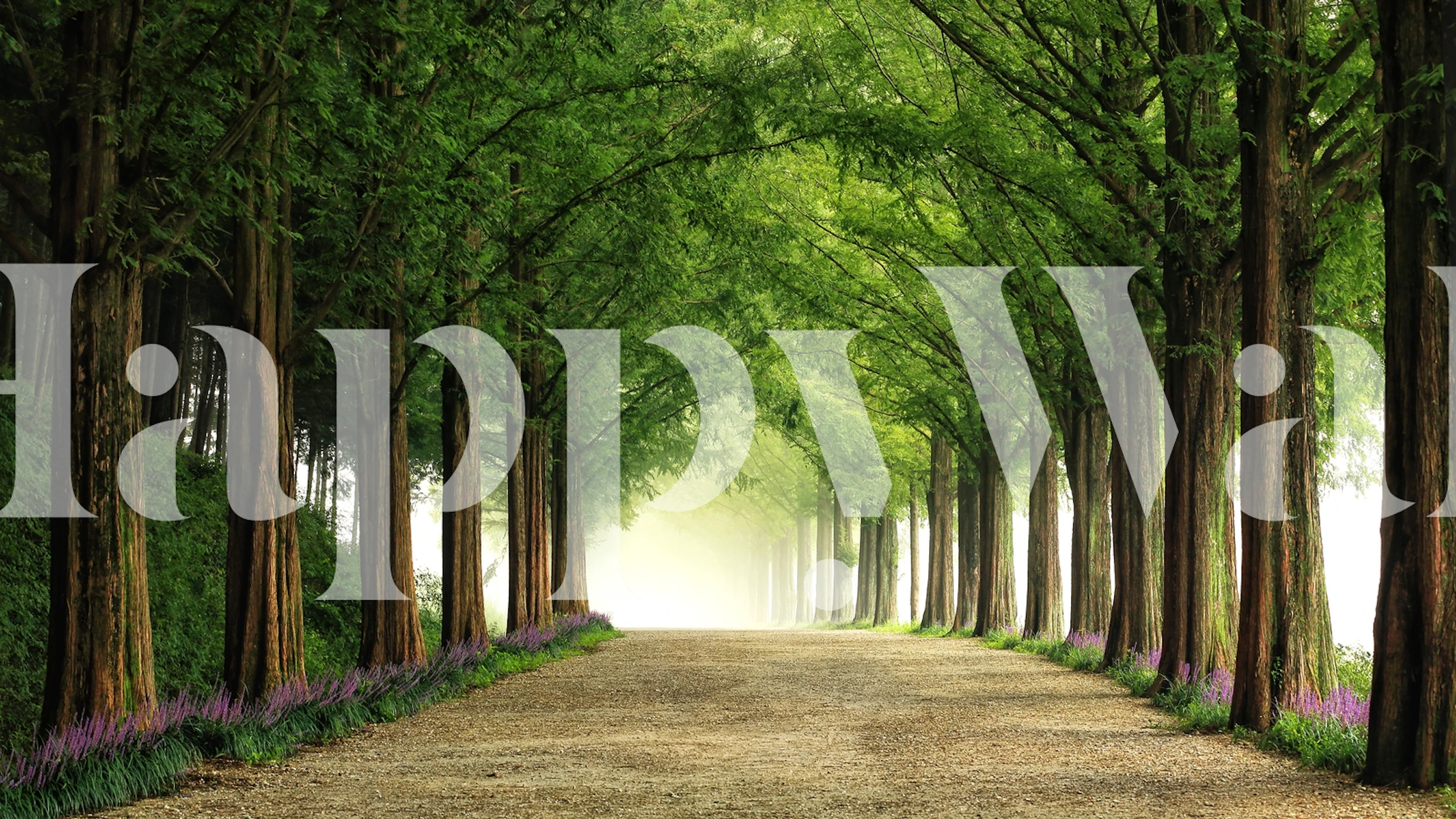 Metasequoia Road tapetti huoneessa