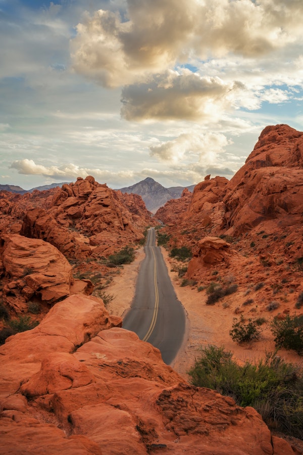 Desert Road Serenity - USA