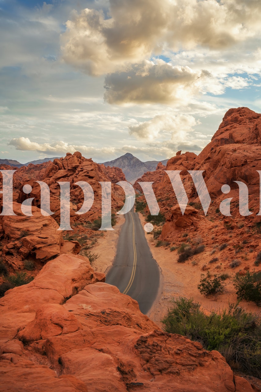 Wall mural of a road in a desert landscape