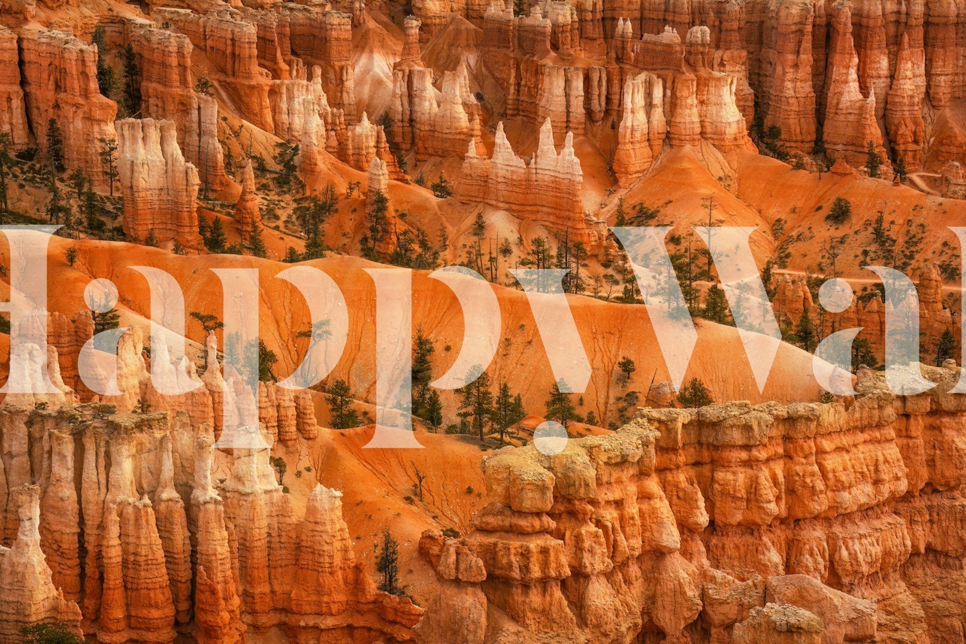 Bryce Canyon Vistas wallpaper in a room