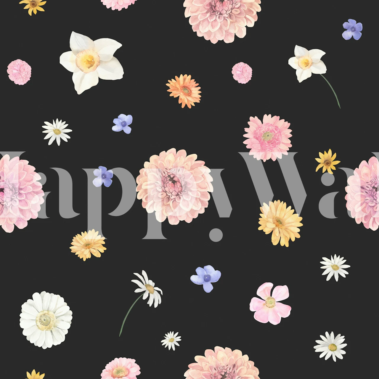Colorful flowers on black background wallpaper