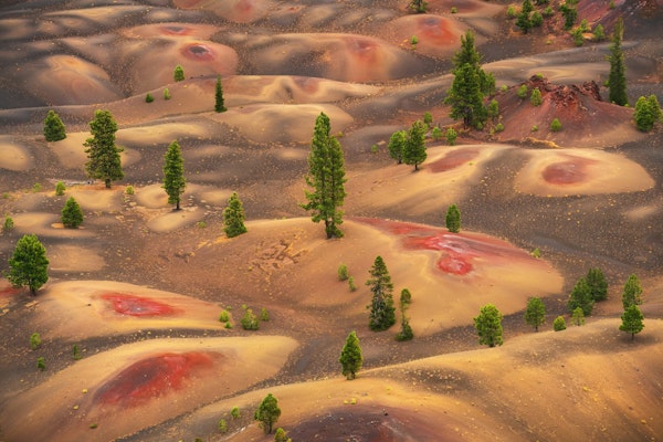 Dune Landscape Scene - USA