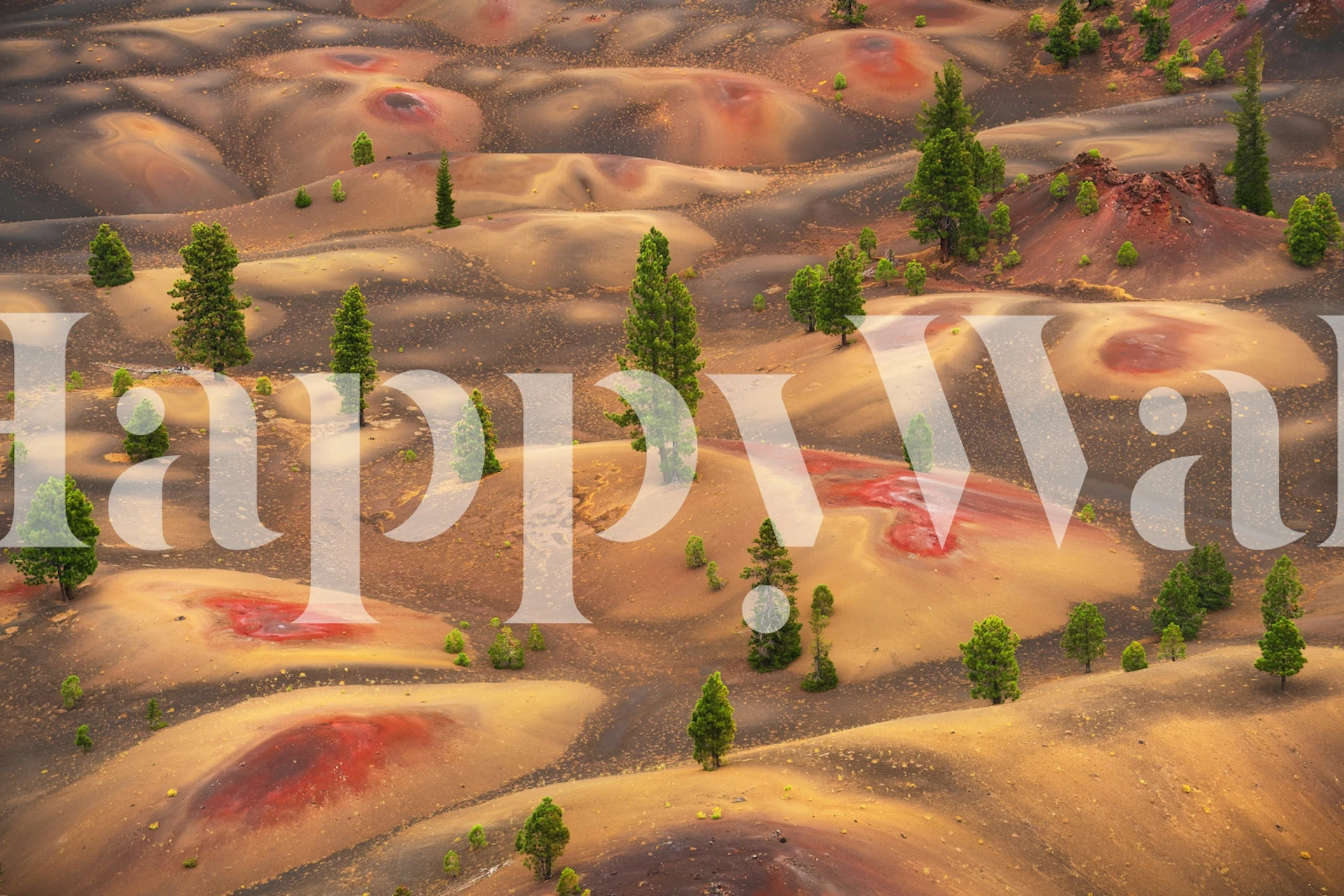 Dune Landscape Scene wallpaper in a room