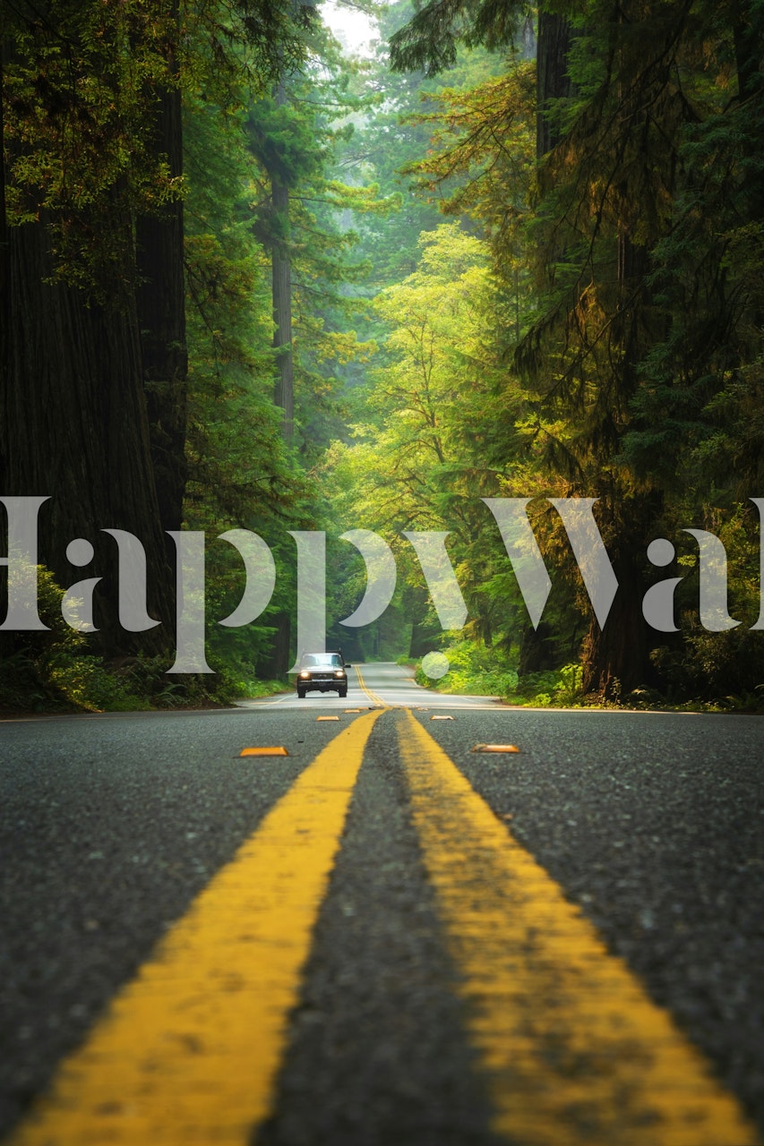 Road through the Redwoods wallpaper in a room