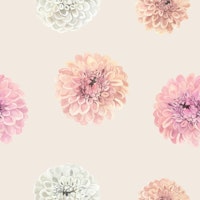Romantic Pastel Dahlias tapet