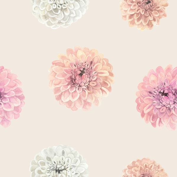 Romantic Pastel Dahlias