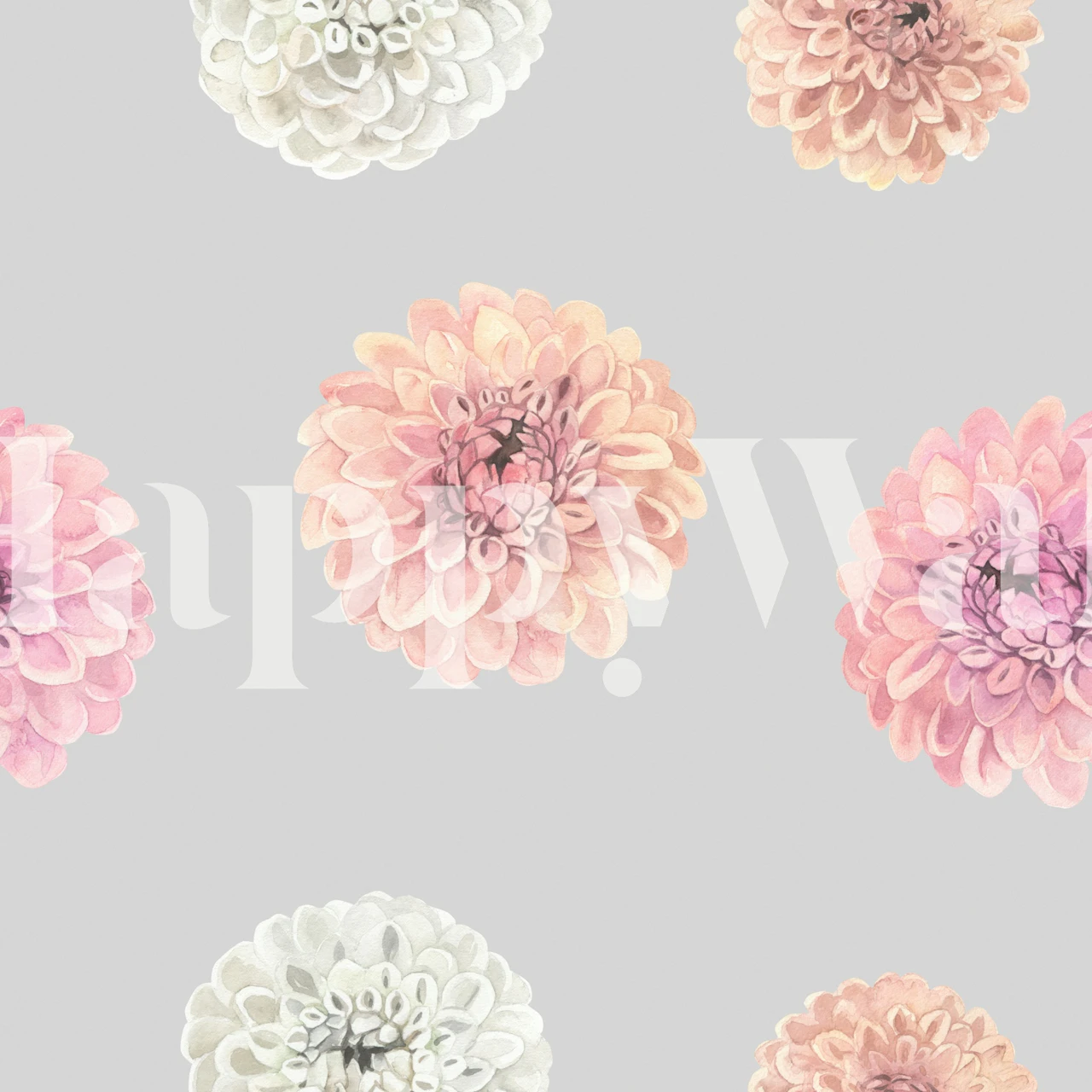 Carta da parati Blossoming Dahlia Elegance in una stanza