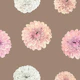 Watercolor Dahlia Fusion