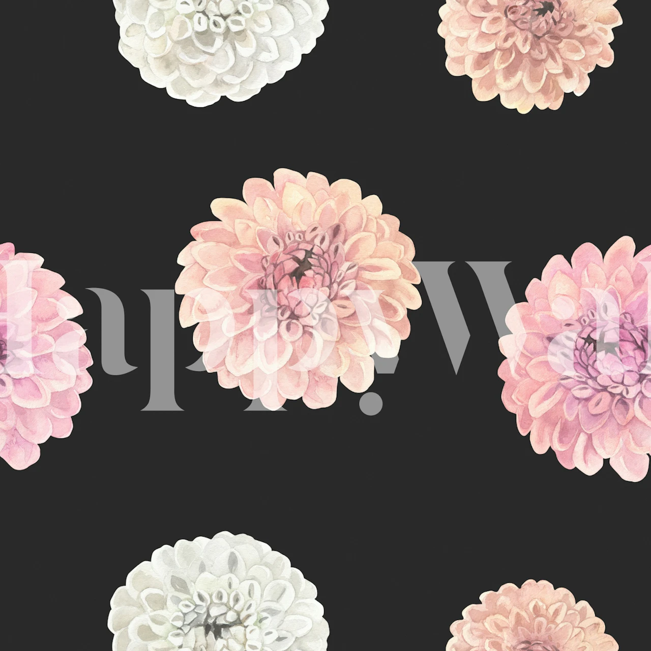Pink and white floral design on a black background wallpaper