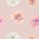 Soft Flower Petals