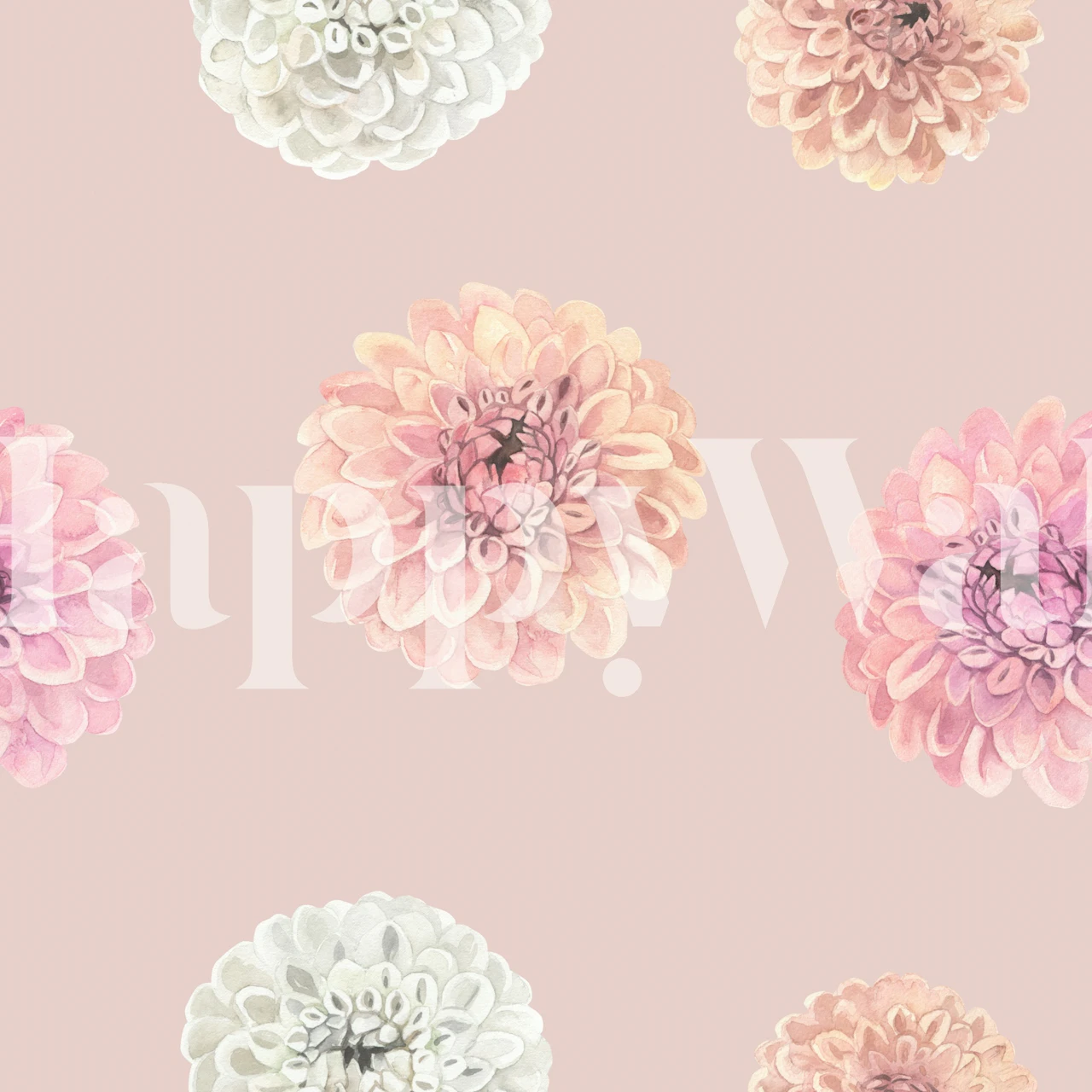 Papier peint Soft Flower Petals dans une pièce