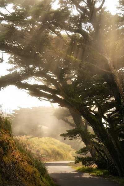 Τοιχογραφία