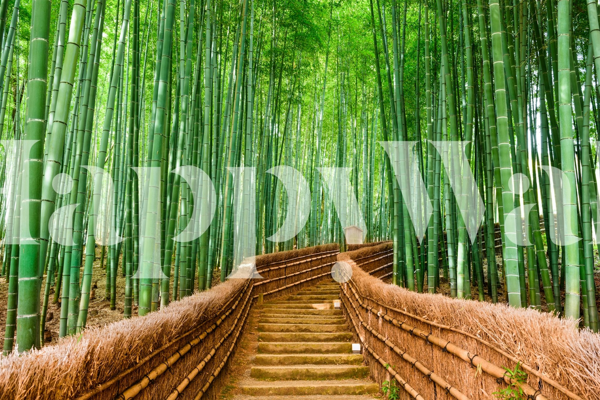 Bamboo forest wallpaper in einem Raum