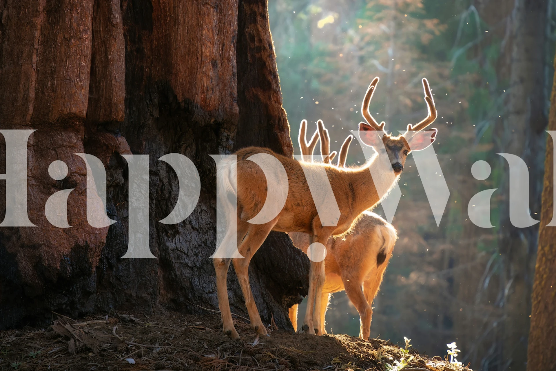 Forest Serenity with Deer