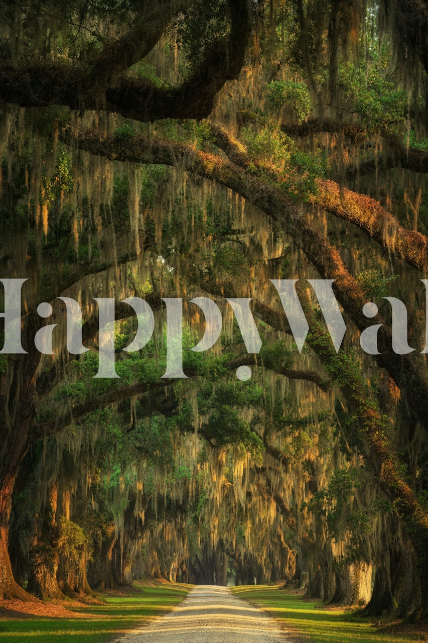 Mystic Oak Lane-tapet i ett rum