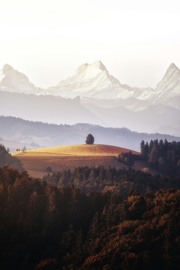 Mountain Dawn Glow - Switzerland