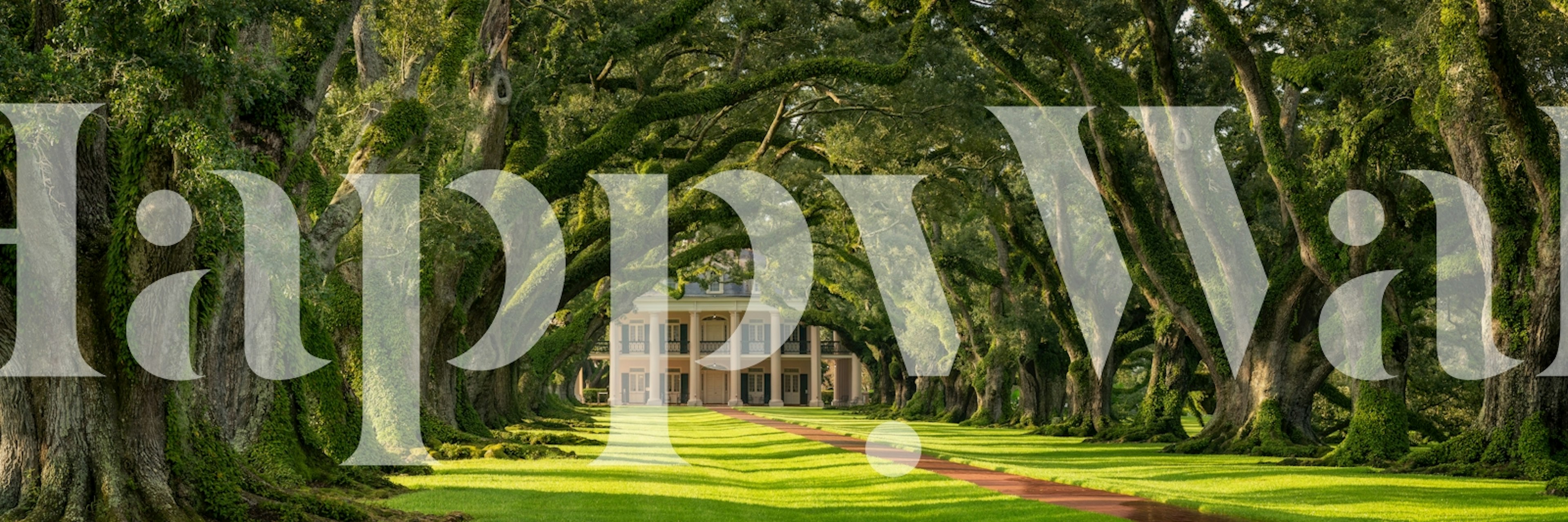 tapeta Majestic Oak Alley w pokoju