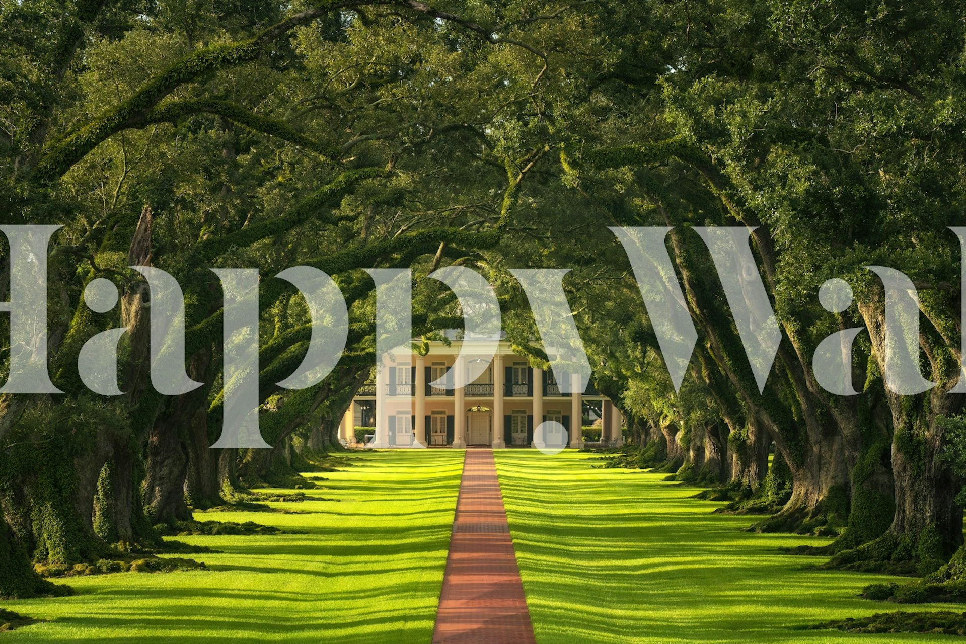 Enchanted oak alley wallpaper in a room