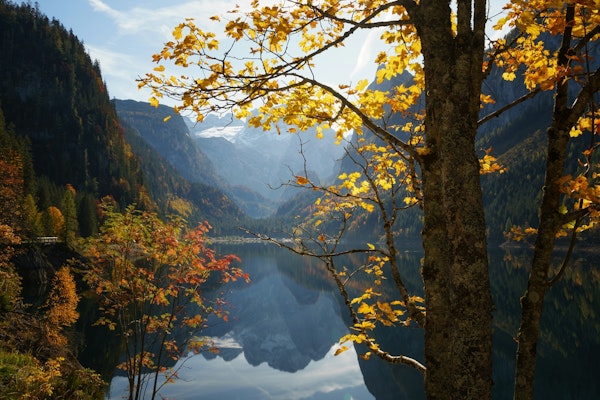 Golden Leaves and Mountain Peaks