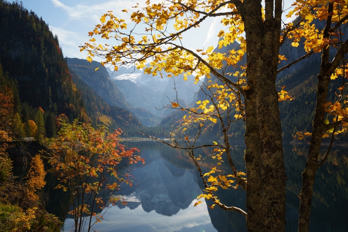 Golden Leaves and Mountain Peaks Wallpaper