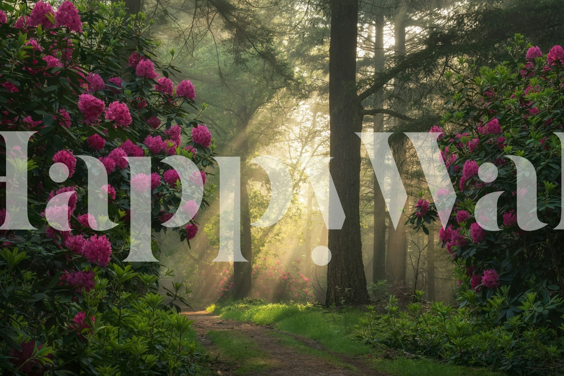 Ταπετσαρία ενός ηλιόλουστου μονοπατιού στο δάσος