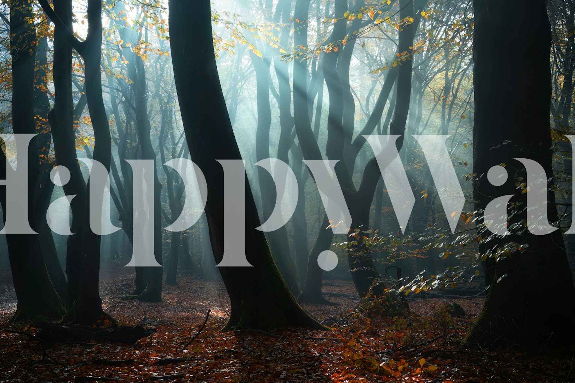 Enchanted Forest wallpaper en una habitación