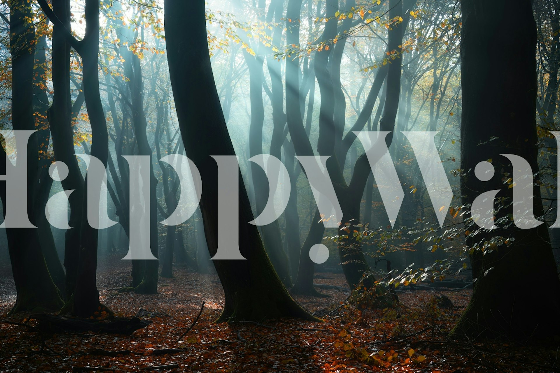 Enchanted Forest wallpaper i et rum