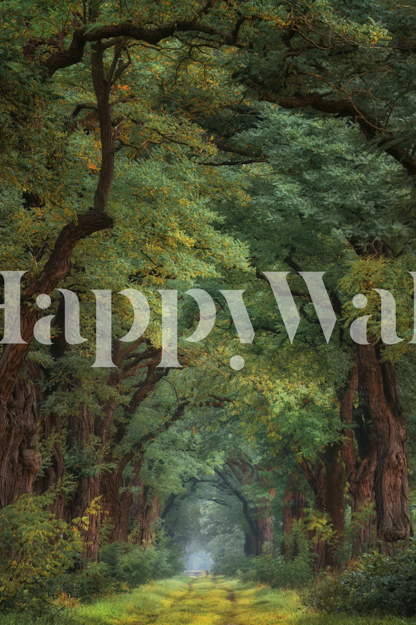 Misty Green Canopy carta da parati in una stanza