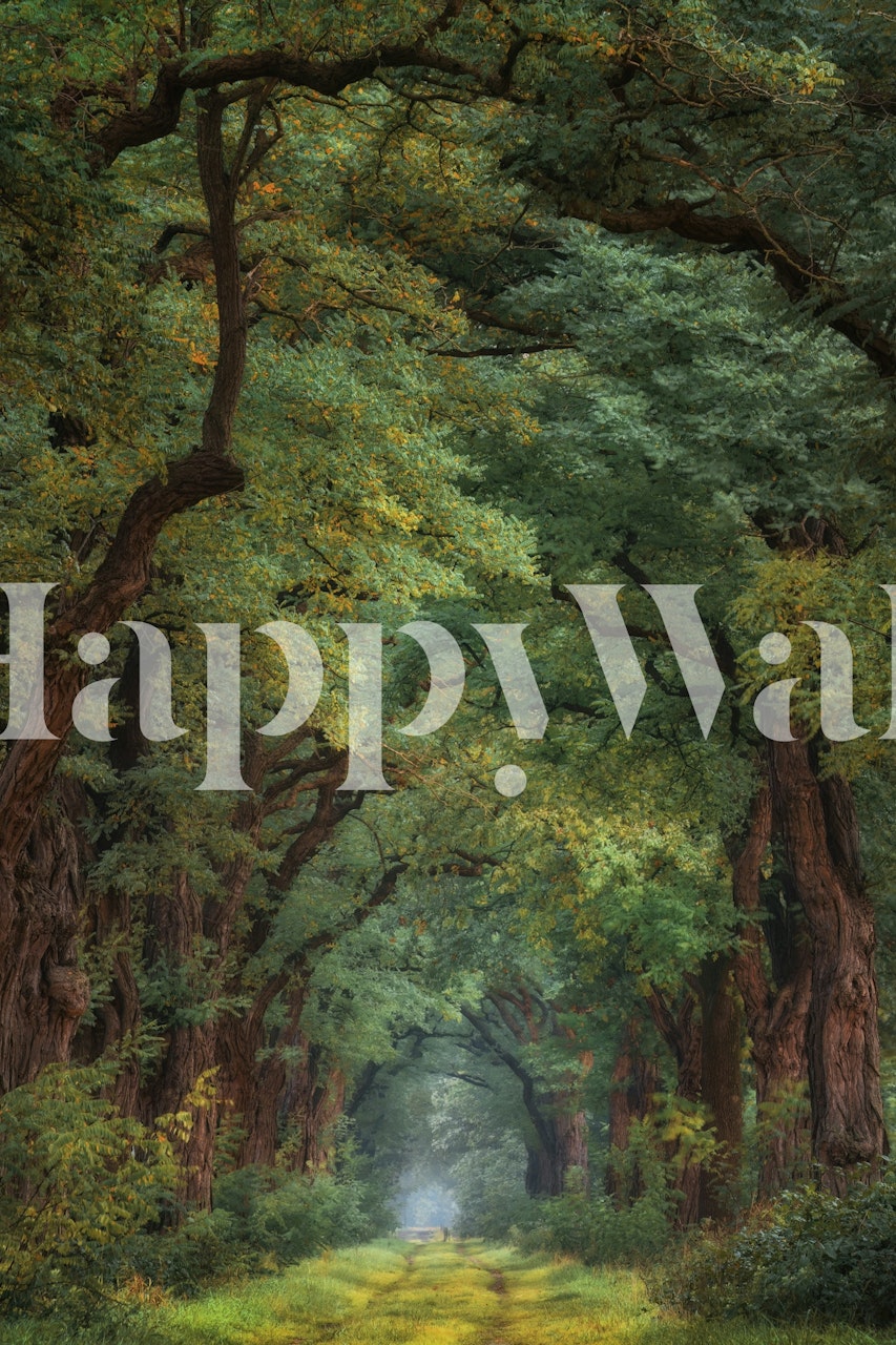 Misty Green Canopy tapeta u sobi