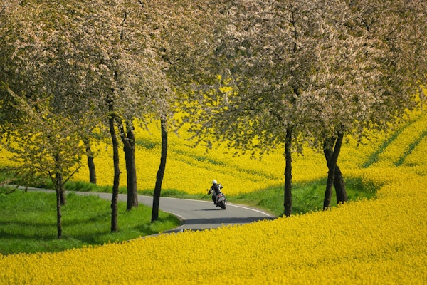 Country Road Journey