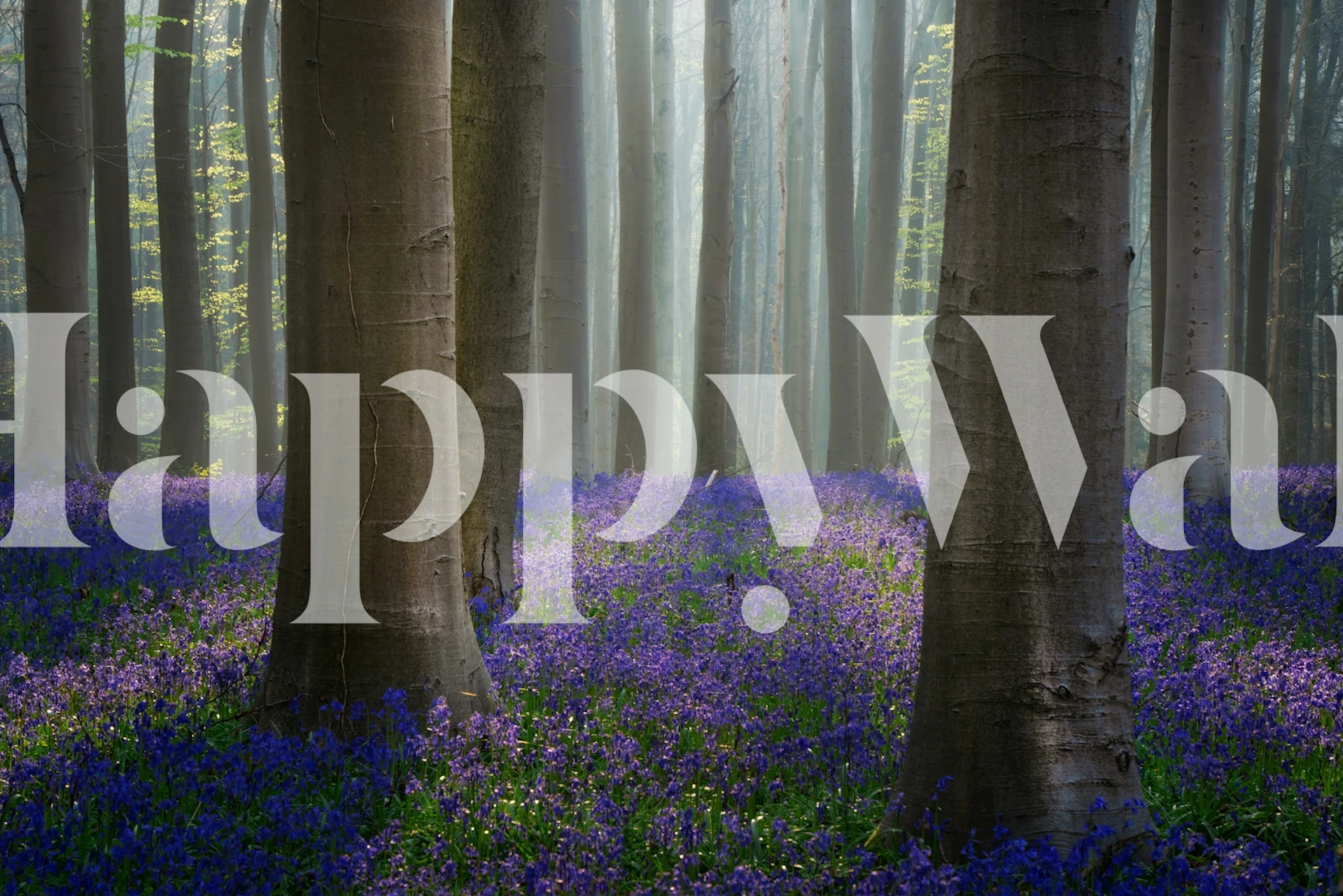 Mystical Woodland Bloom-tapet i et rum