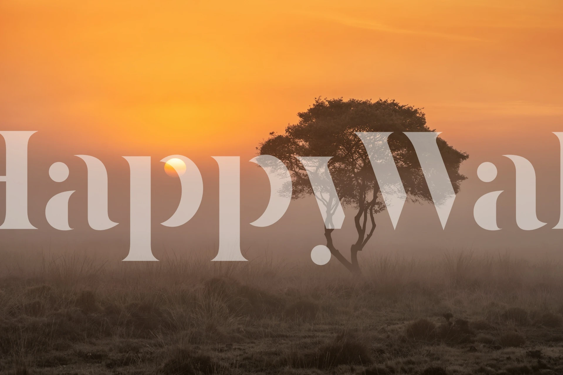 Misty landscape with sunrise and silhouette tree wallpaper