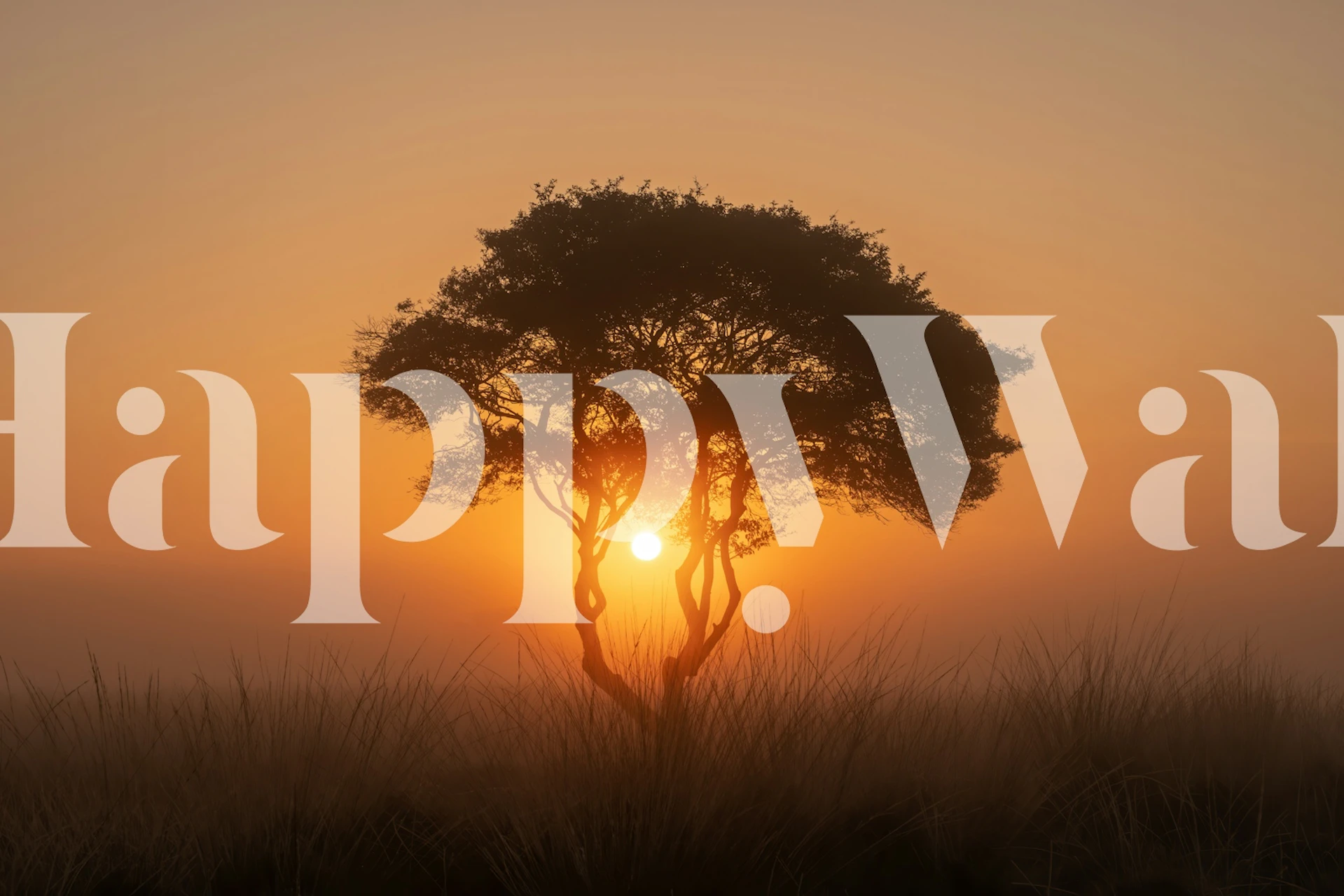 Golden Hour Silhouette tapet i et rum