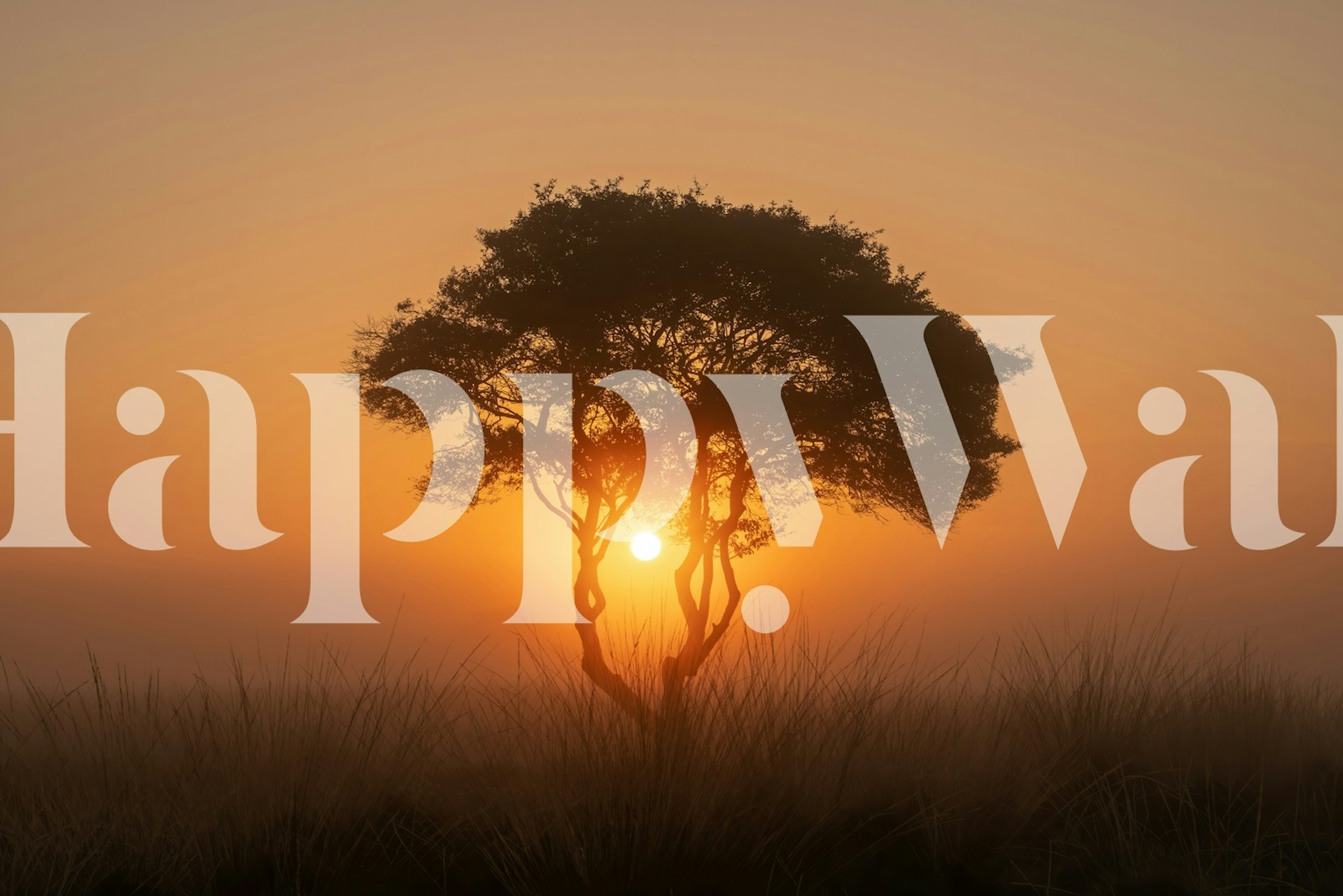 Zidna obloga Golden Hour Silhouette u sobi