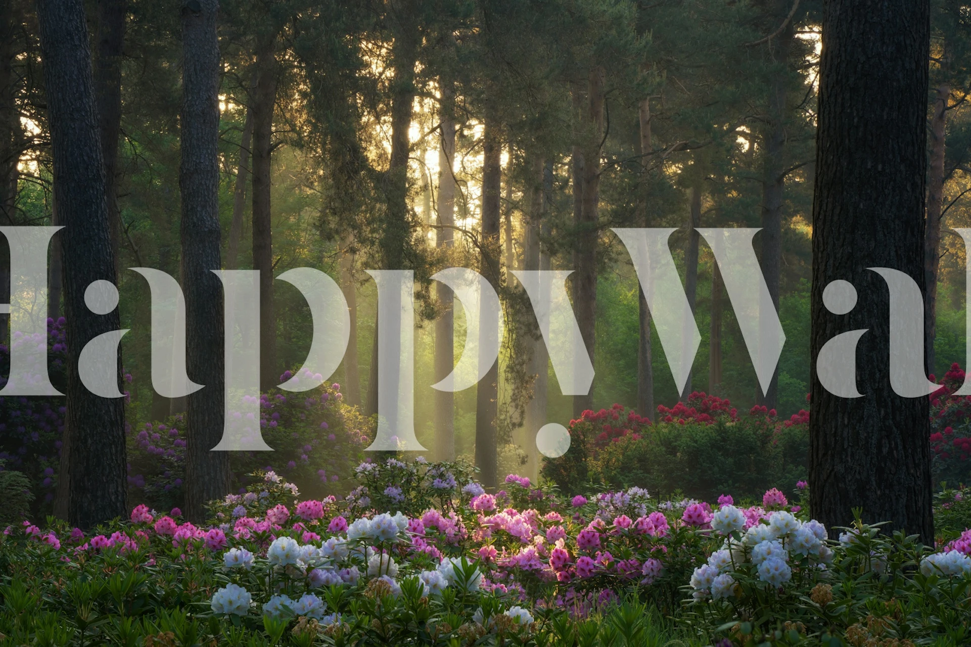 Rhododendron Forest Glow-tapet i ett rum