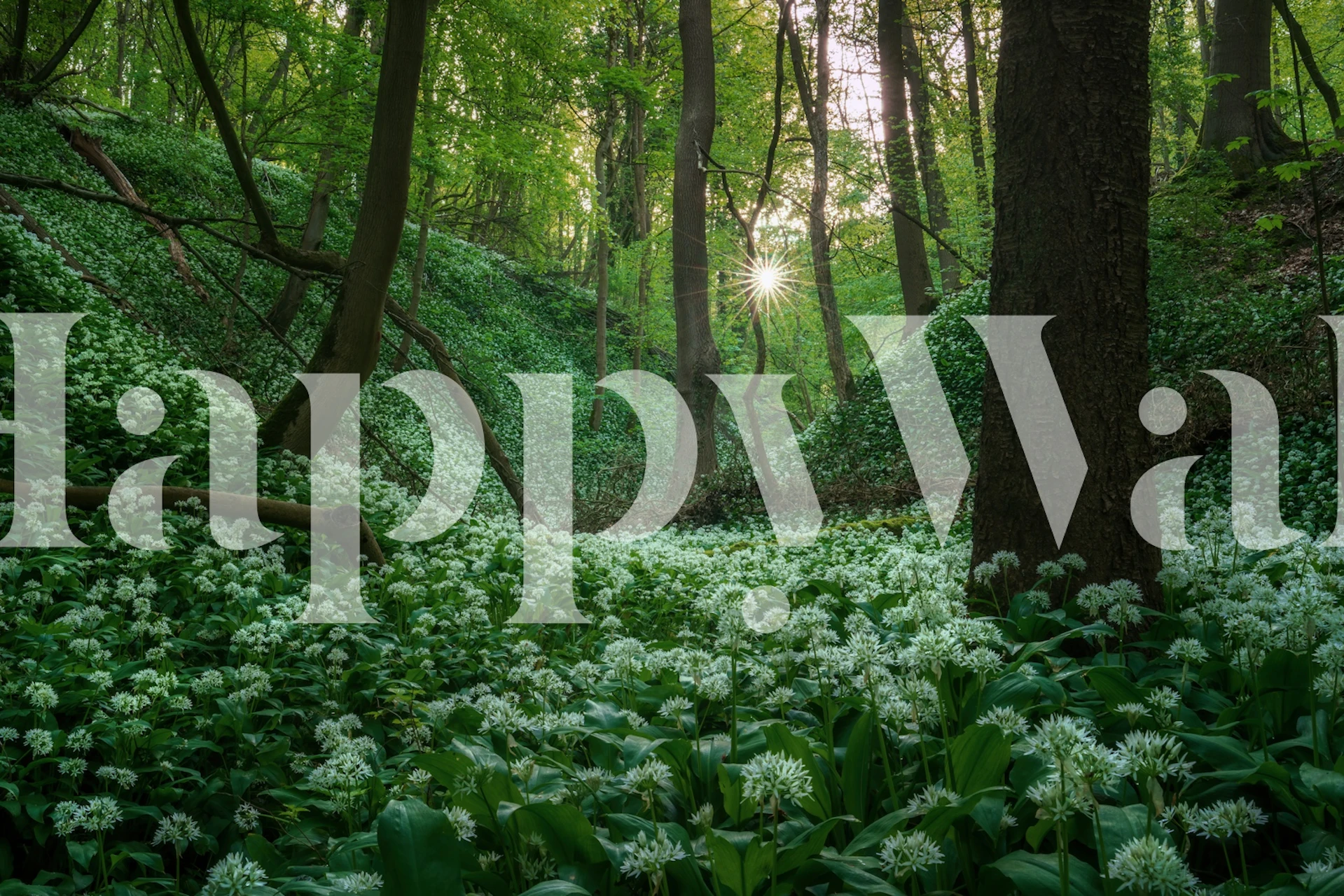 Lush green forest pathway with white flowers wall mural